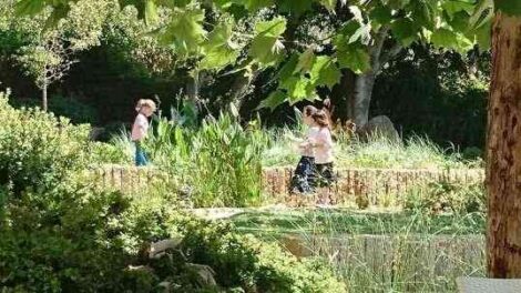 Educating Children in the Spirit of Simple Living Image